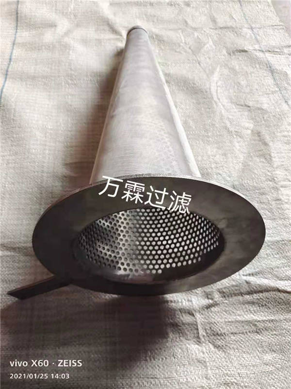 滤芯10